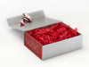 Red Tissue Paper Featured with Red Snowflake FAB Sides® on Silver A4 Deep Gift Box