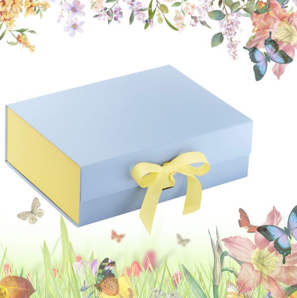Spring Boxes and Accessories from Foldabox