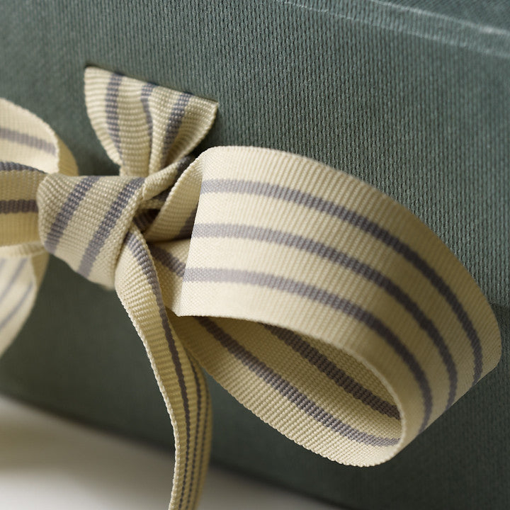 Striped Ribbon