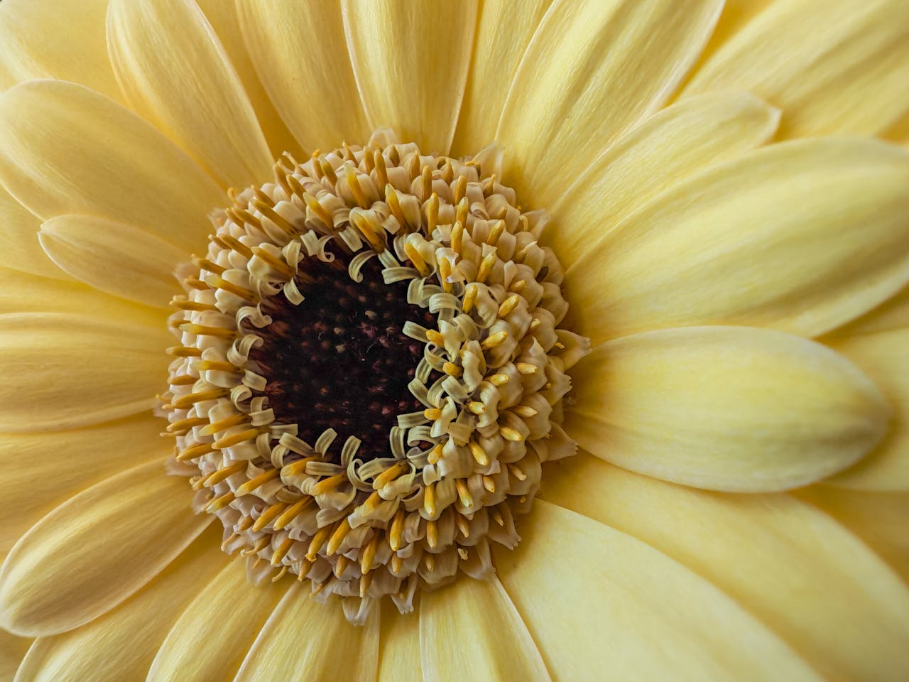 Butter Yellow and Sunshine: The Color Defining Spring Packaging