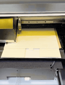 Digital Print